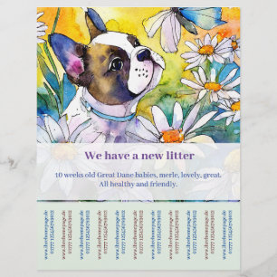 French Bulldog Flyer 