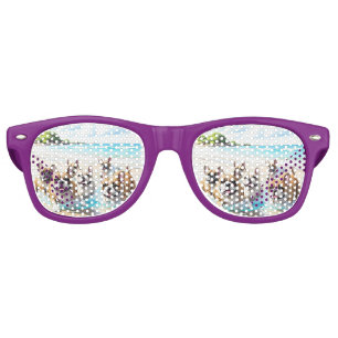 French Bulldog French Bulldog Pack Sea Retro Sunglasses