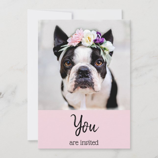 *~* French Bulldog  Frenchie Event Cute Invitation (Front)