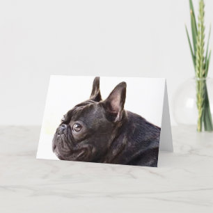 French Bulldog greeting card