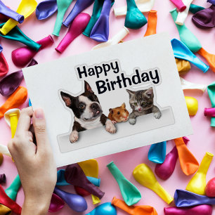 French Bulldog Hamster Kitten Happy Birthday