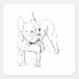 French Bulldog – Hand Drawn Dog Illustration Square Sticker