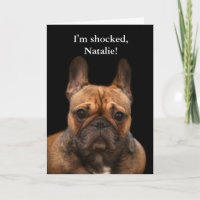 French Bulldog Happy Birthday Humour