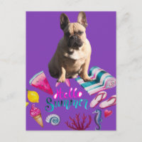 French Bulldog Happy Summer French Bulldog