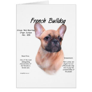 French Bulldog History Design
