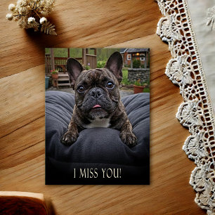 French Bulldog I Miss You Postcard