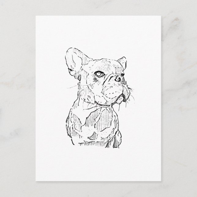 French Bulldog Illustration, Personalized Postcard (Front)