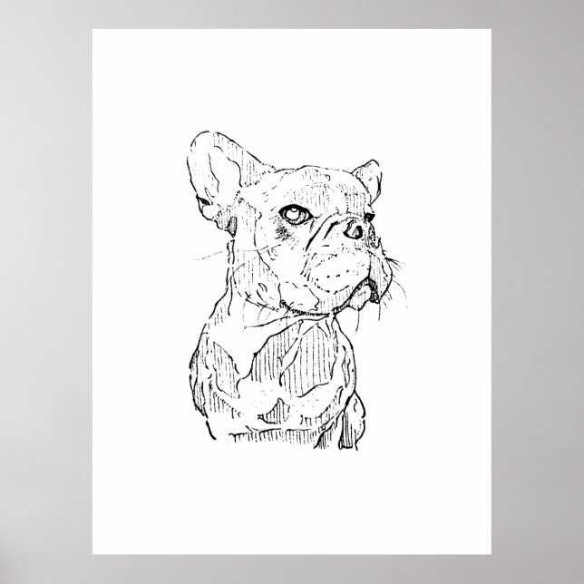 French Bulldog Illustration, Personalized Poster (Front)