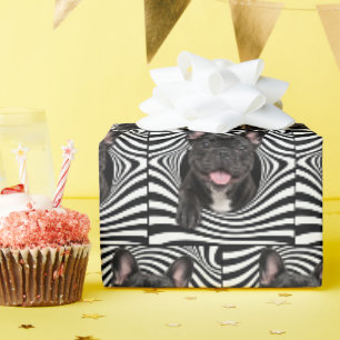 French Bulldog in Abstract Striped Hole Wrapping Paper