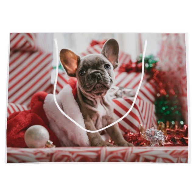 French Bulldog in Christmas Hat Large Gift Bag (Front)