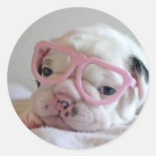 French Bulldog in Heart Glasses Classic Round Sticker
