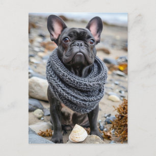 French Bulldog in Knitted Dog Attire Holiday Postcard