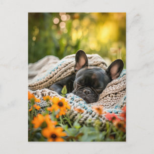 French Bulldog in Knitted Dog Attire Holiday Postcard