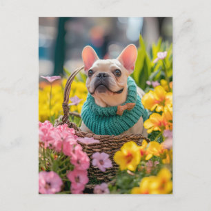 French Bulldog in Knitted Dog Attire Holiday Postcard