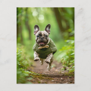 French Bulldog in Knitted Dog Attire Holiday Postcard