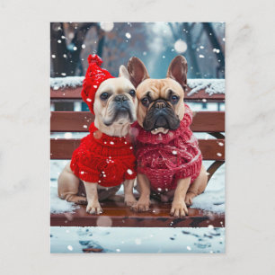 French Bulldog in Knitted Dog Attire Holiday Postcard