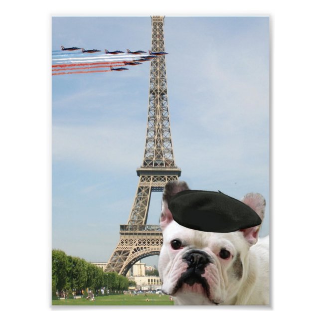 French bulldog in Paris Photo Print (Front)