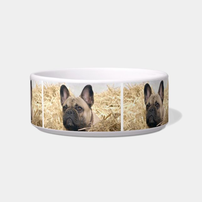French Bulldog in straw French Bulldog  Bowl (Front)