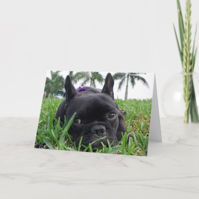 French Bulldog in the grass Card (Front)