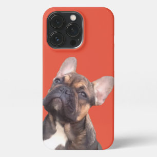 French bulldog iPhone 13 pro case