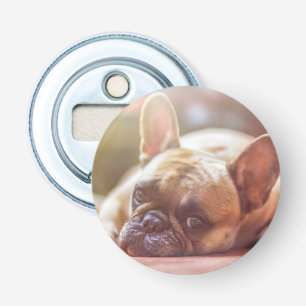 french bulldog laying bottle opener