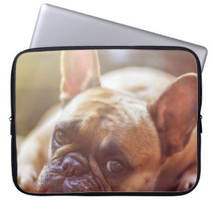 french bulldog laying laptop sleeve