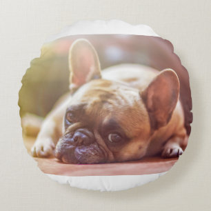 french bulldog laying round cushion