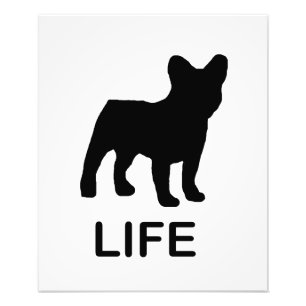french bulldog life photo print