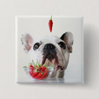 French Bulldog Looking At A Red Pepper