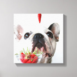 French Bulldog Looking At A Red Pepper Canvas Print