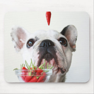 French Bulldog Looking At A Red Pepper Mouse Pad