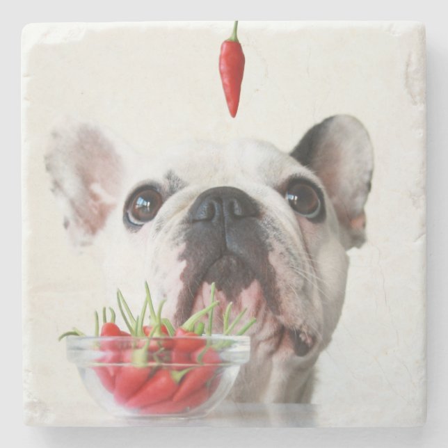 French Bulldog Looking At A Red Pepper Stone Coaster (Front)