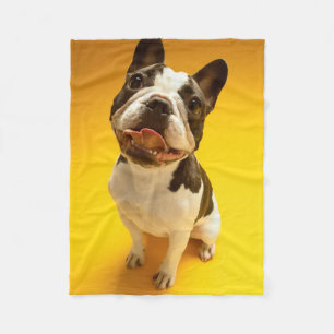 French Bulldog Looking Up Fleece Blanket