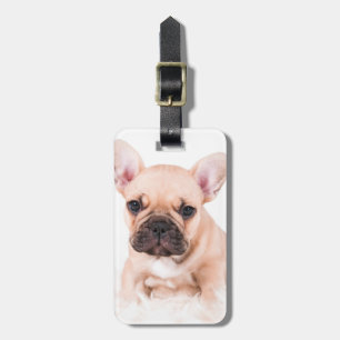French Bulldog Luggage Tag