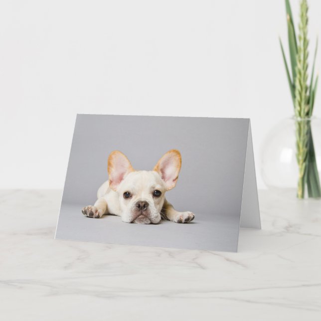 French Bulldog Lying Down Card (Front)