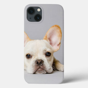 French Bulldog Lying Down iPhone 13 Case