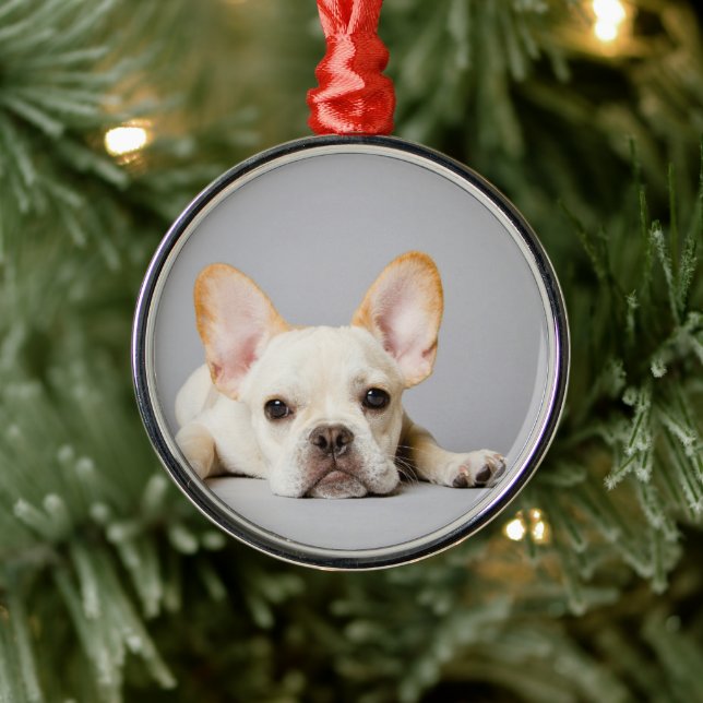 French Bulldog Lying Down Metal Tree Decoration (Tree)