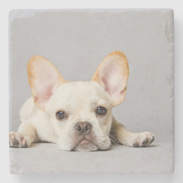 French Bulldog Lying Down Stone Coaster (Front)