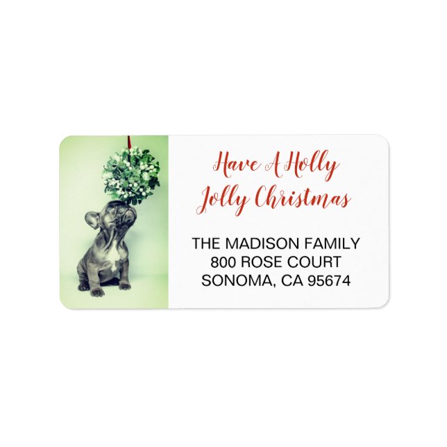 French Bulldog & Mistletoe Return Address Label (Front)