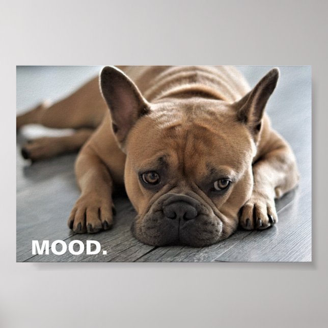 French Bulldog Mood Poster (Front)