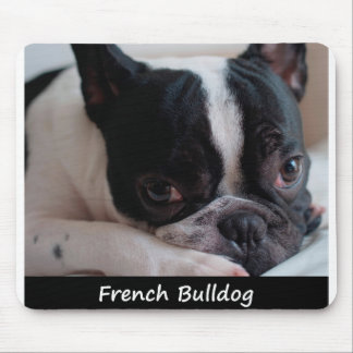 French Bulldog Mouse Pad