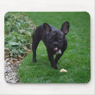 French Bulldog Mouse Pad