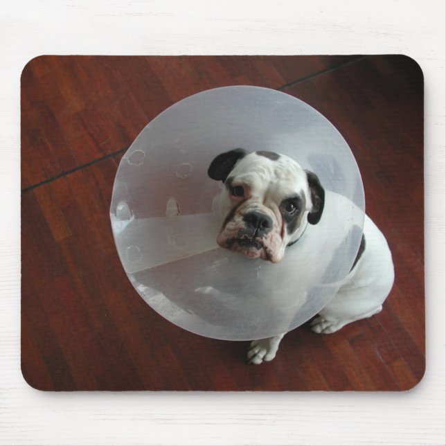 French Bulldog Mouse Pad (Front)