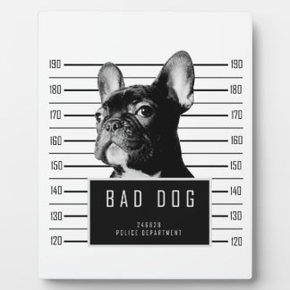 French Bulldog Mugshot Shirt Plaque