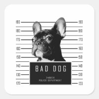 French Bulldog Mugshot Shirt