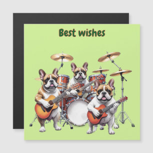 French Bulldog Musikband Französische Bulldoggen