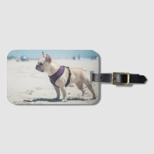 French Bulldog On Beach Luggage Tag