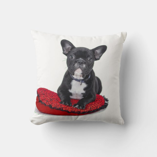 french bulldog-on red pillow (Front)