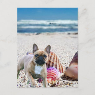 French Bulldog on the beach postcard