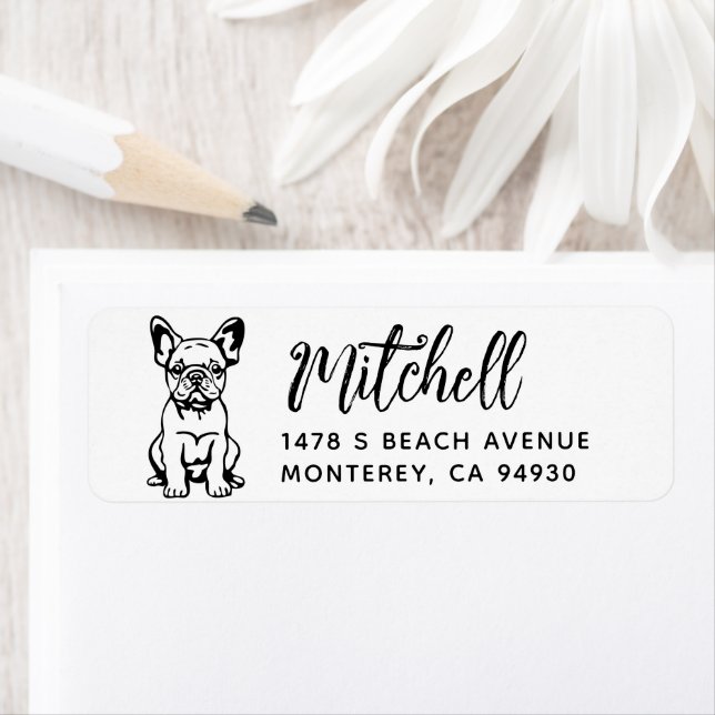 French Bulldog Owner Return Address Dog Owner (Insitu)